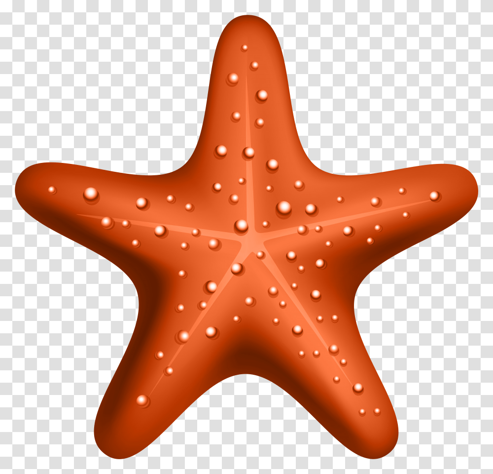 Starfish Clipart Hd Transparent Png