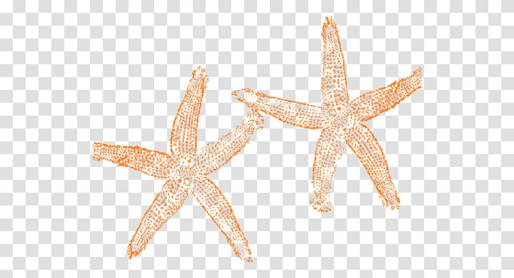 Starfish Clipart Orange Orange Starfish Clipart Clipart Blue Starfish, Invertebrate, Sea Life, Animal, Cross Transparent Png