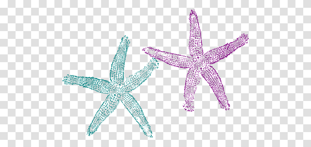 Starfish Clipart Orange Starfish, Invertebrate, Sea Life, Animal, Star Symbol Transparent Png