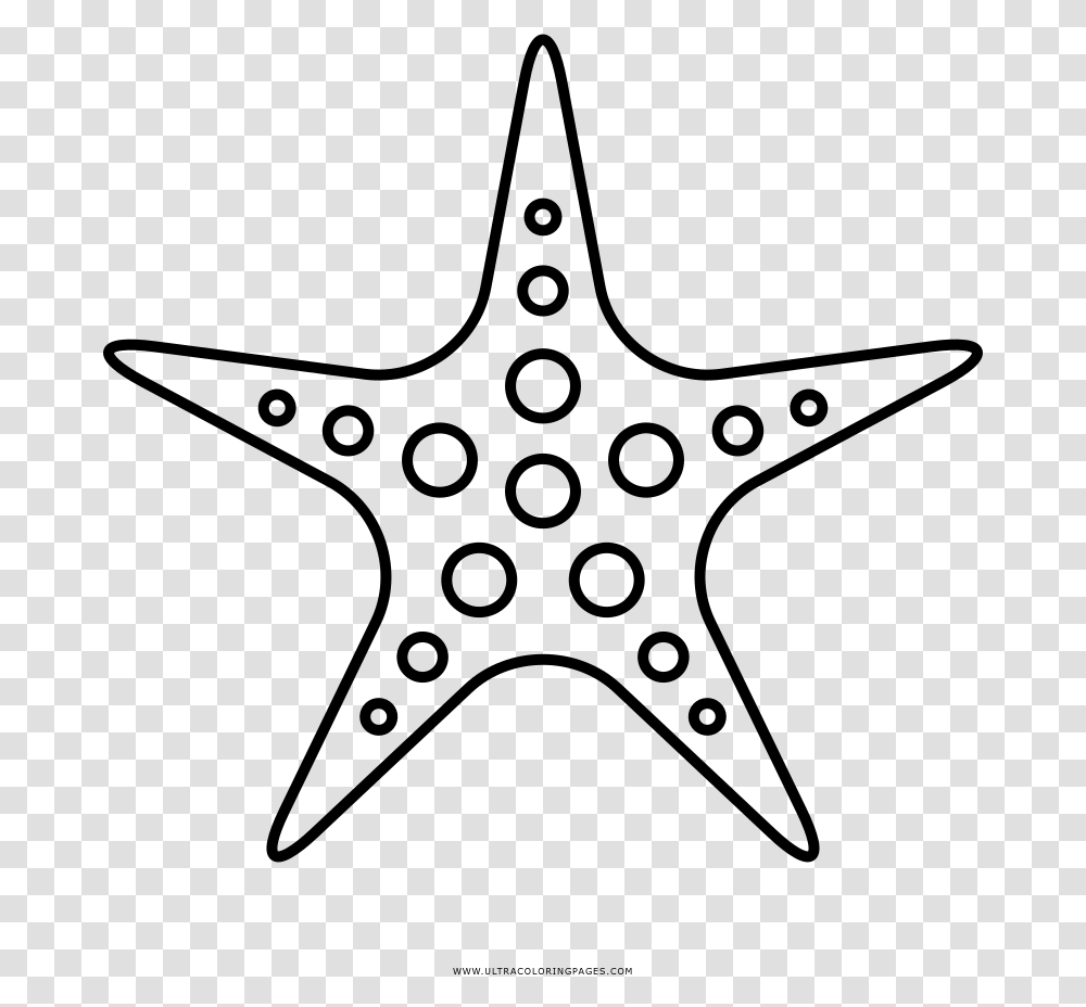 Starfish Clipart Sea Star Fish Outline, Gray, World Of Warcraft Transparent Png