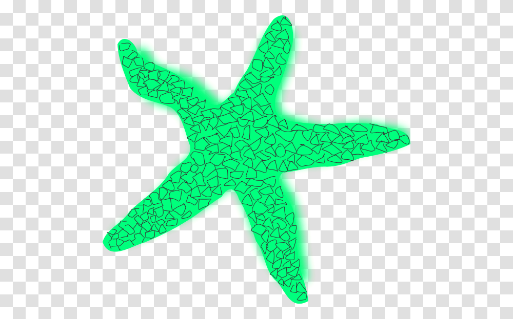 Starfish Clipart Star Fish Star Green Fish, Sea Life, Animal, Invertebrate Transparent Png