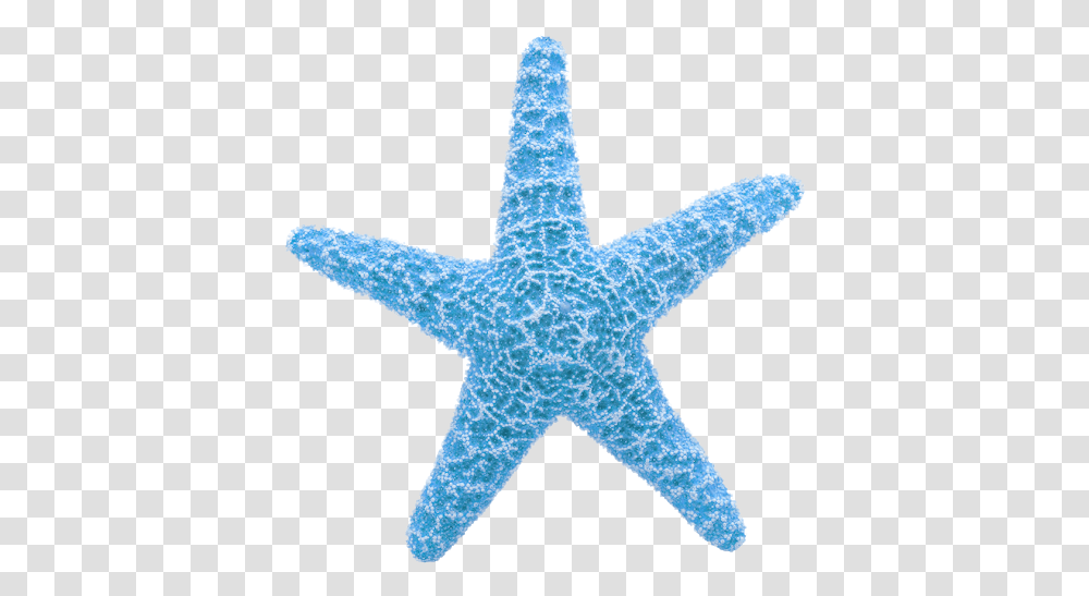 Starfish Clipart Starfish Animation, Sea Life, Animal, Invertebrate, Cross Transparent Png
