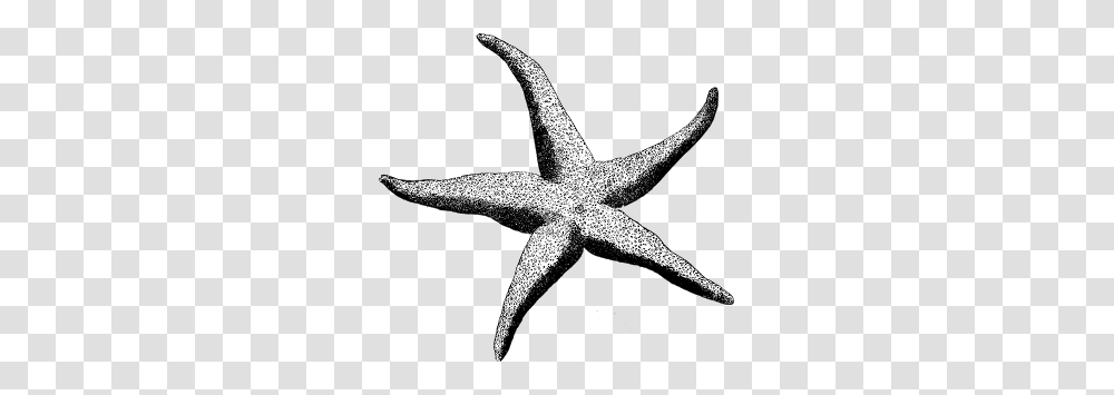 Starfish Clipart Vintage, Sea Life, Animal, Invertebrate, Cross Transparent Png