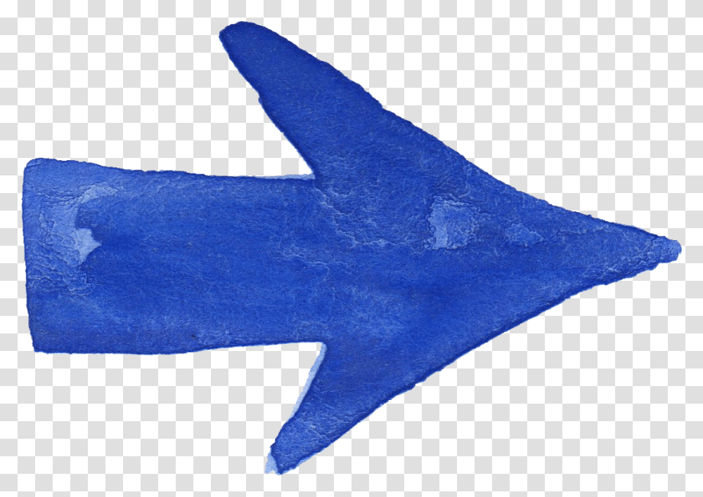 Starfish, Apparel, Sock, Shoe Transparent Png