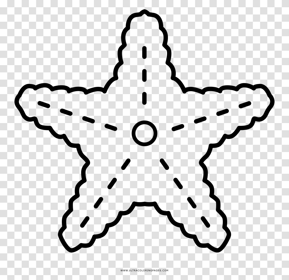 Starfish Coloring, Gray, World Of Warcraft Transparent Png