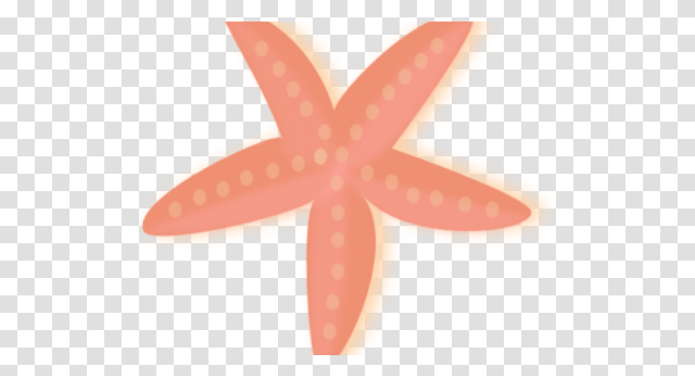 Starfish, Cross, Star Symbol, Animal Transparent Png