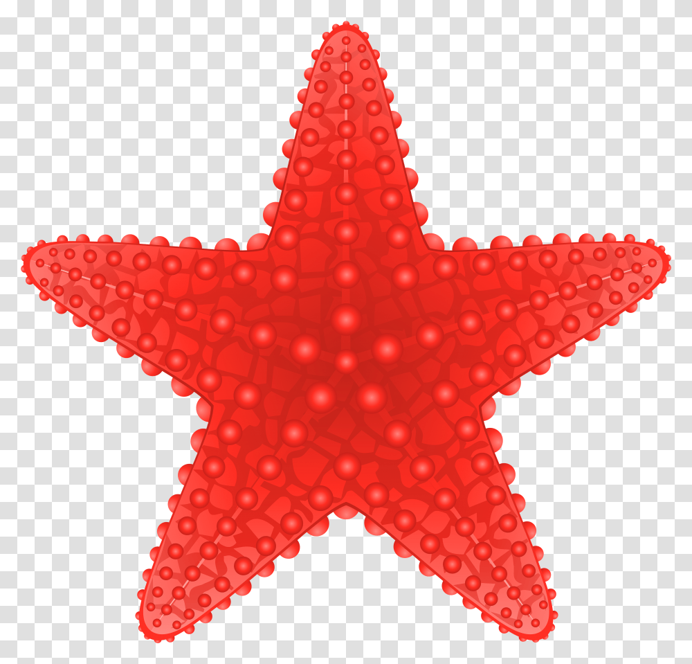 Starfish Cute Clipart Free Best On Poster Mathematics Around Us Transparent Png