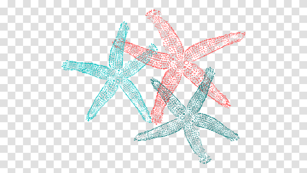 Starfish Drawing, Animal, Sea Life, Invertebrate, Lizard Transparent Png