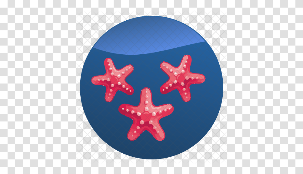 Starfish Icon Starfish, Symbol, Star Symbol, Animal, Sweets Transparent Png