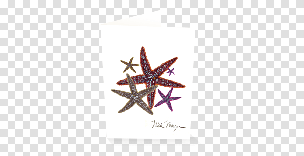 Starfish Ii Starfish, Symbol, Star Symbol, Animal, Text Transparent Png