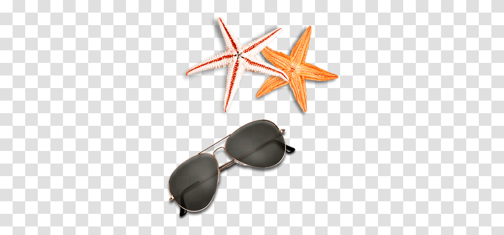 Starfish Images Clipart Beach Elements, Sunglasses, Accessories, Accessory, Invertebrate Transparent Png