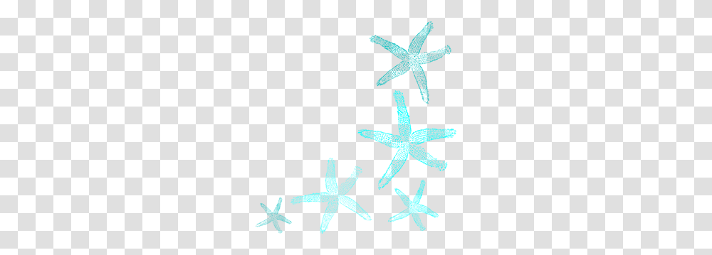 Starfish Images Icon Cliparts, Sea Life, Animal, Cross Transparent Png