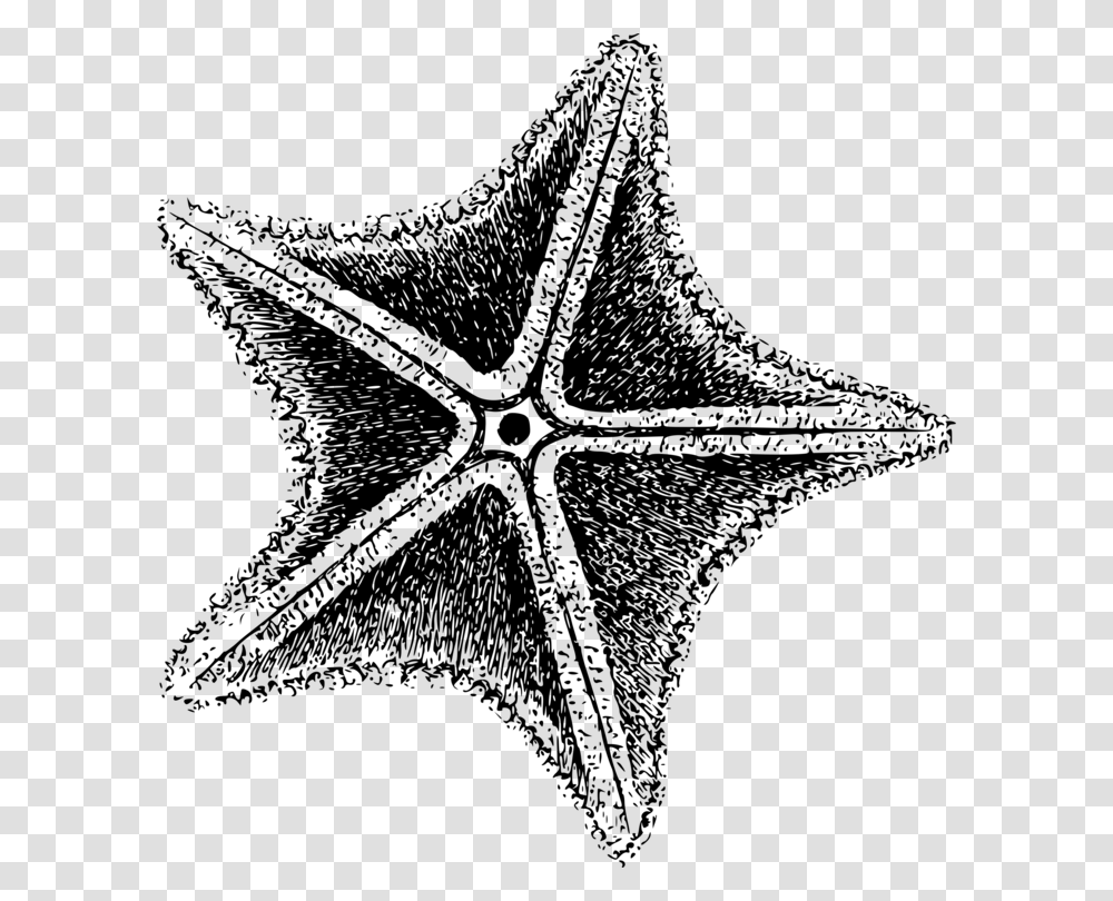 Starfish Invertebrate Sea Echinoderm Computer Icons Black And White Star Fish, Gray, World Of Warcraft Transparent Png