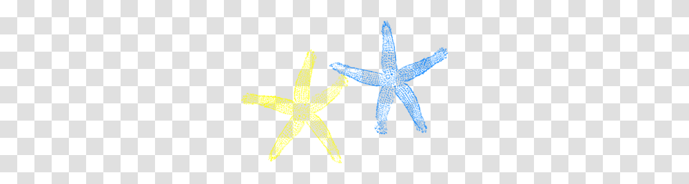Starfish Love, Invertebrate, Sea Life, Animal, Star Symbol Transparent Png