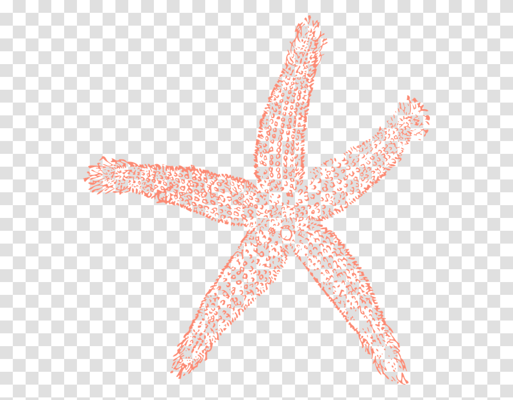Starfish Ocean Water Close Up Imprint Trace Shape Coral Starfish Clipart, Sea Life, Animal, Invertebrate, Cross Transparent Png