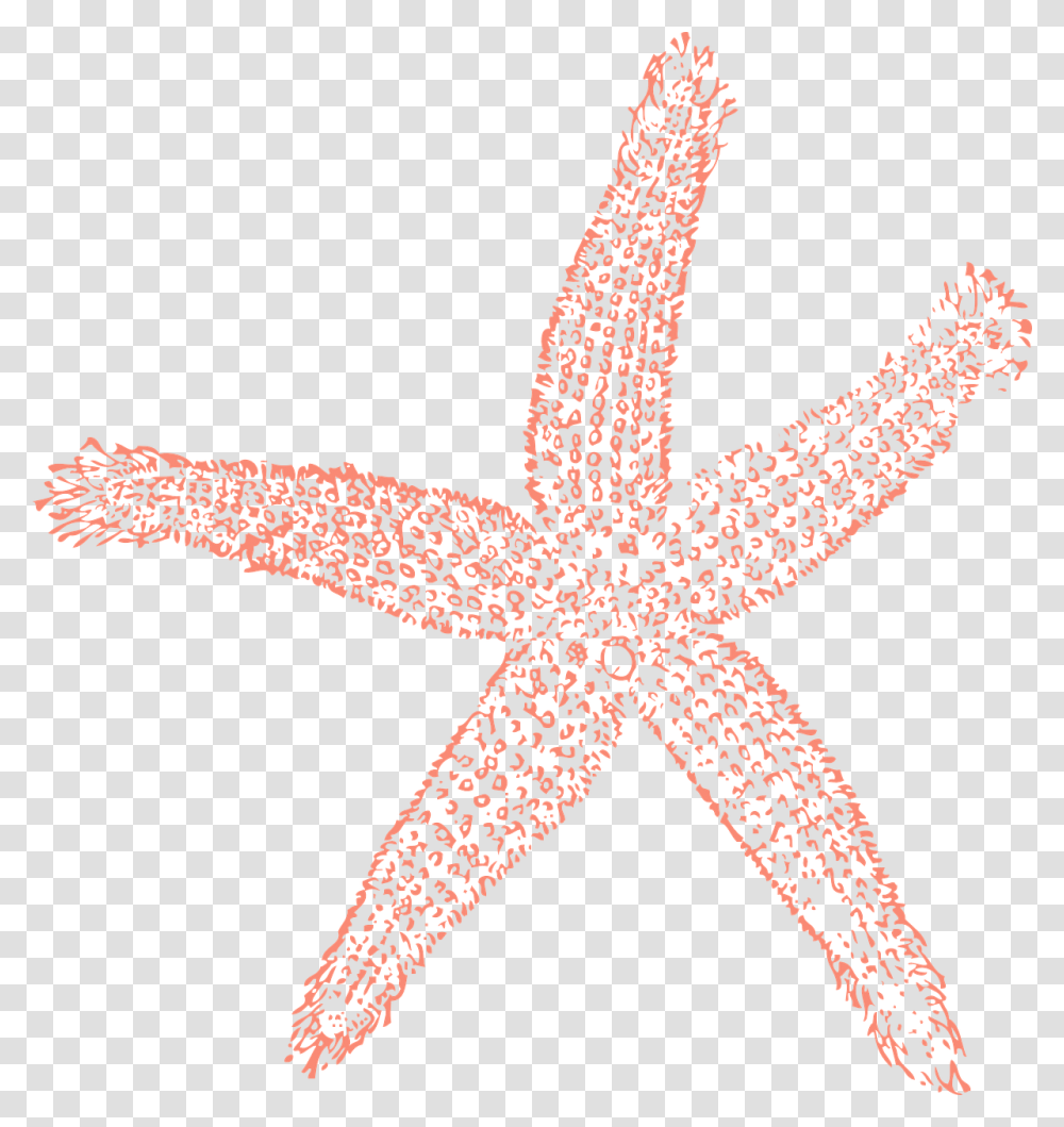 Starfish Ocean Water Free Picture Coral Starfish Clipart, Lizard, Reptile, Animal, Sea Life Transparent Png