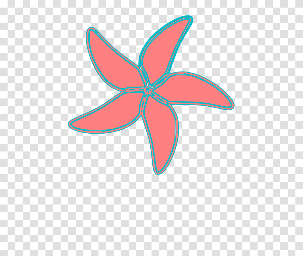 Starfish Pictures, Leaf, Plant, Home Decor, Flower Transparent Png