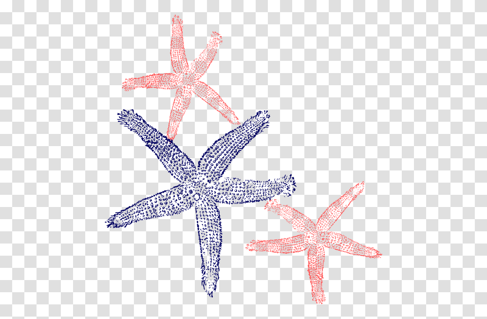 Starfish Prints Clip Art At Clker Fish Clip Art, Invertebrate, Sea Life, Animal Transparent Png