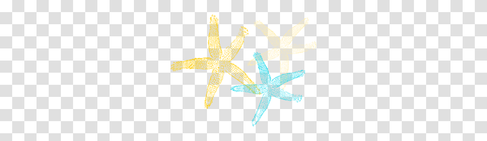 Starfish Prints Clip Art, Star Symbol, Sea Life, Animal Transparent Png