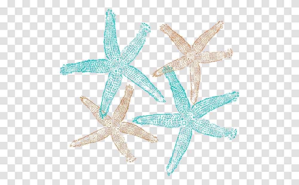 Starfish Prints Svg Clip Arts Shell Starfish Clip Art, Invertebrate, Sea Life, Animal, Lizard Transparent Png