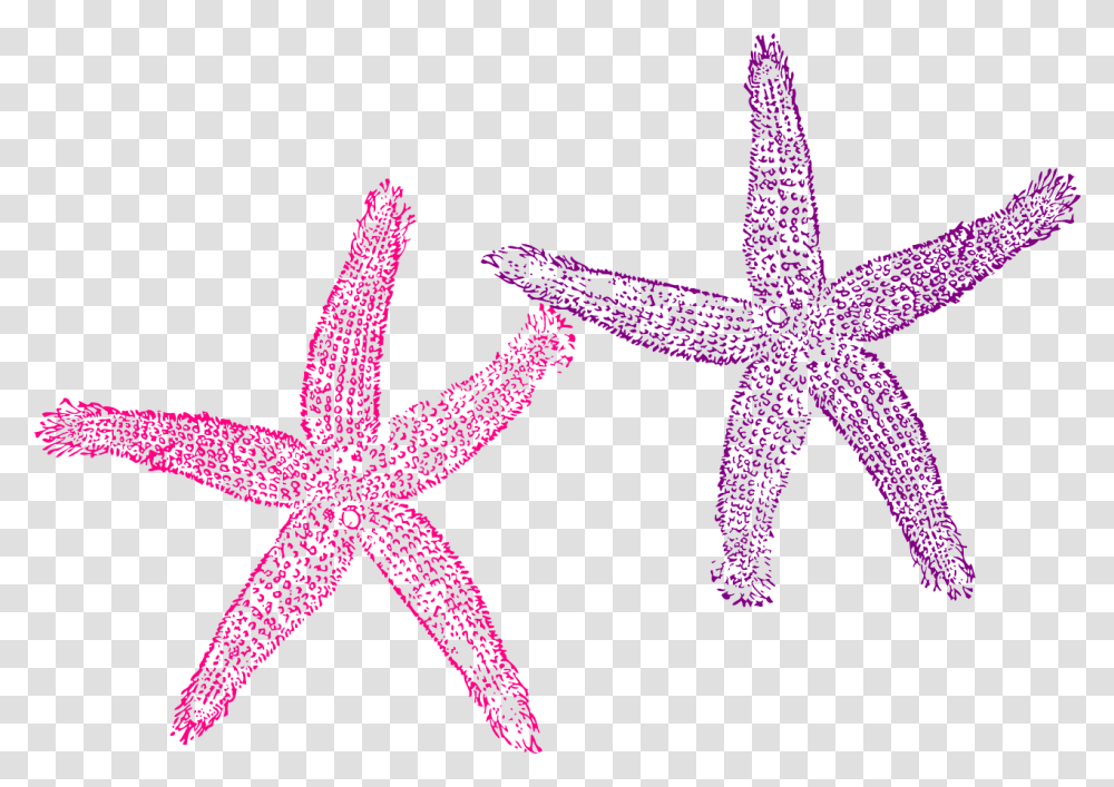 Starfish Purple Pink Sea Tropical Beach Creature Starfish Clipart Blue, Star Symbol, Sea Life, Animal, Invertebrate Transparent Png