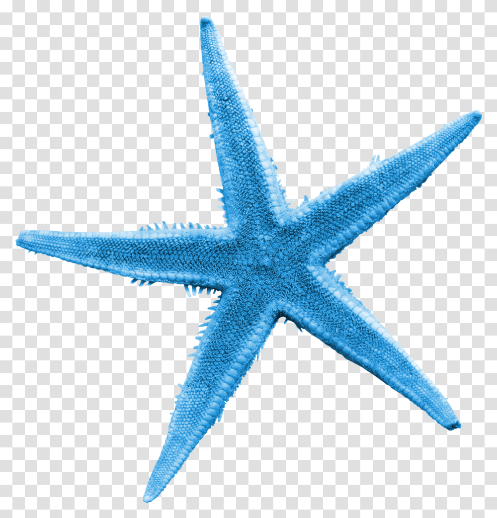 Starfish Sea Clip Art Blue Starfish, Sea Life, Animal, Cross, Symbol Transparent Png