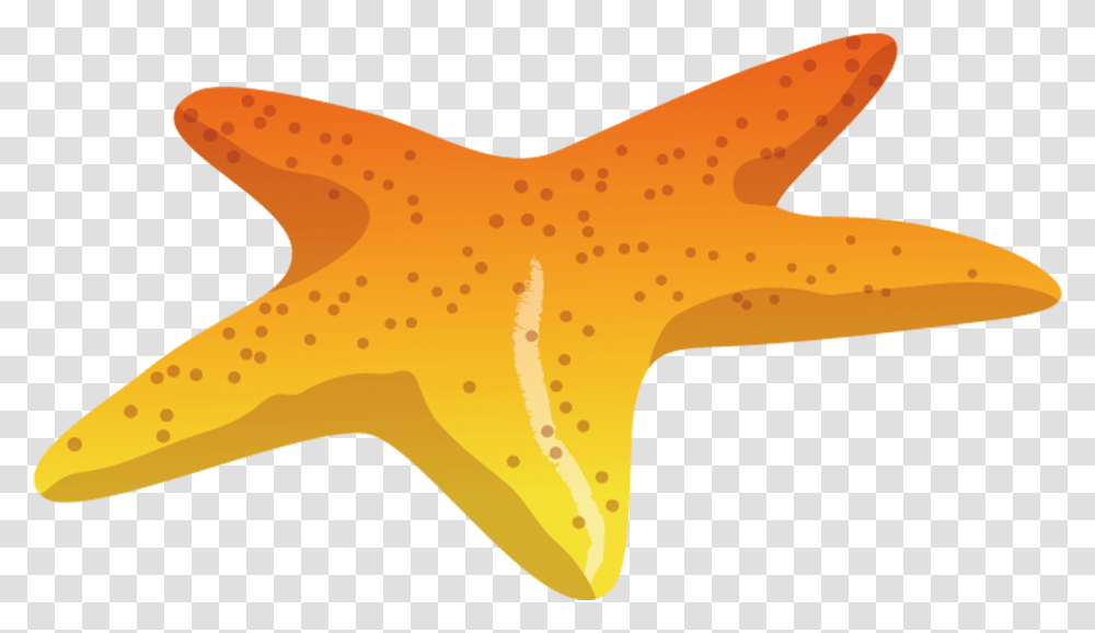 Starfish Sea Download Deniz Yildizi, Animal, Sea Life, Axe, Tool Transparent Png