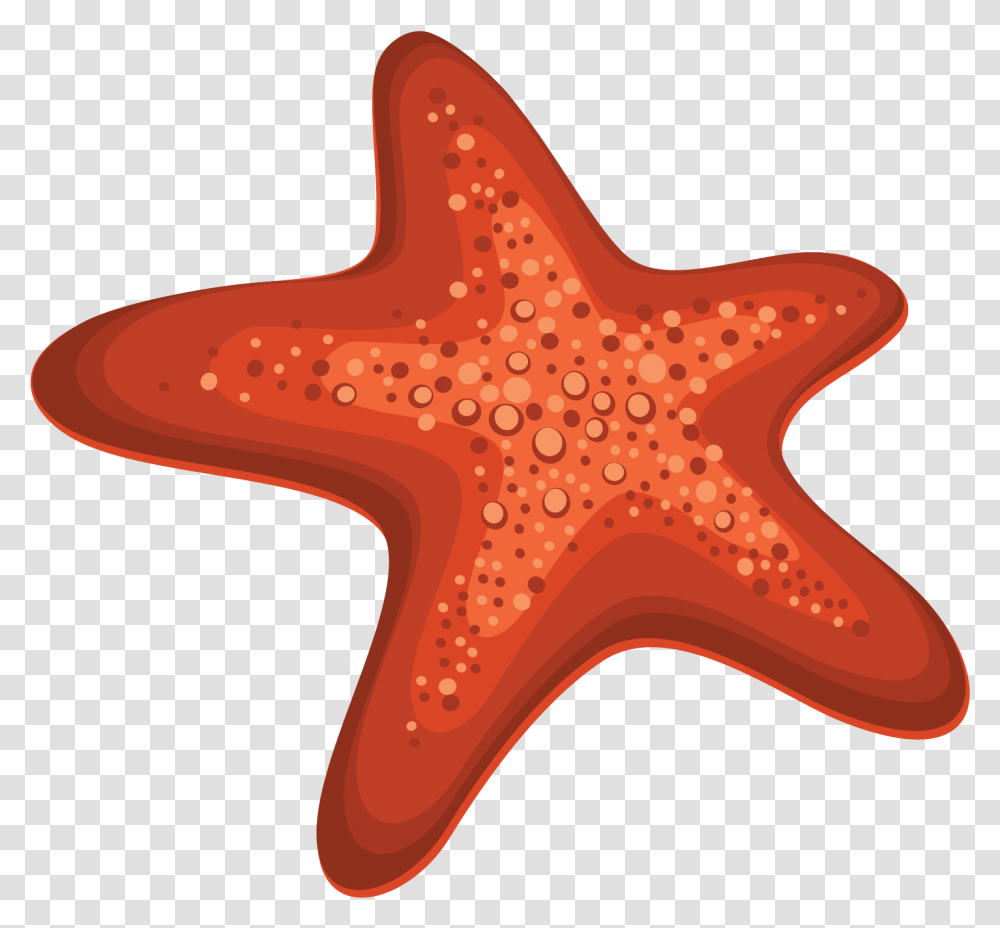 Starfish, Sea Life, Animal, Invertebrate, Axe Transparent Png