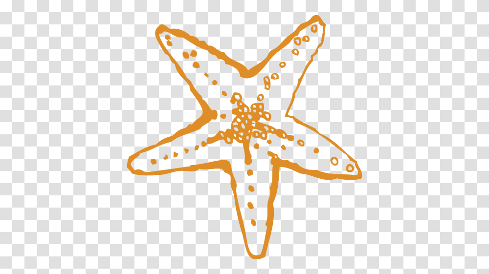 Starfish, Sea Life, Animal, Invertebrate, Cross Transparent Png