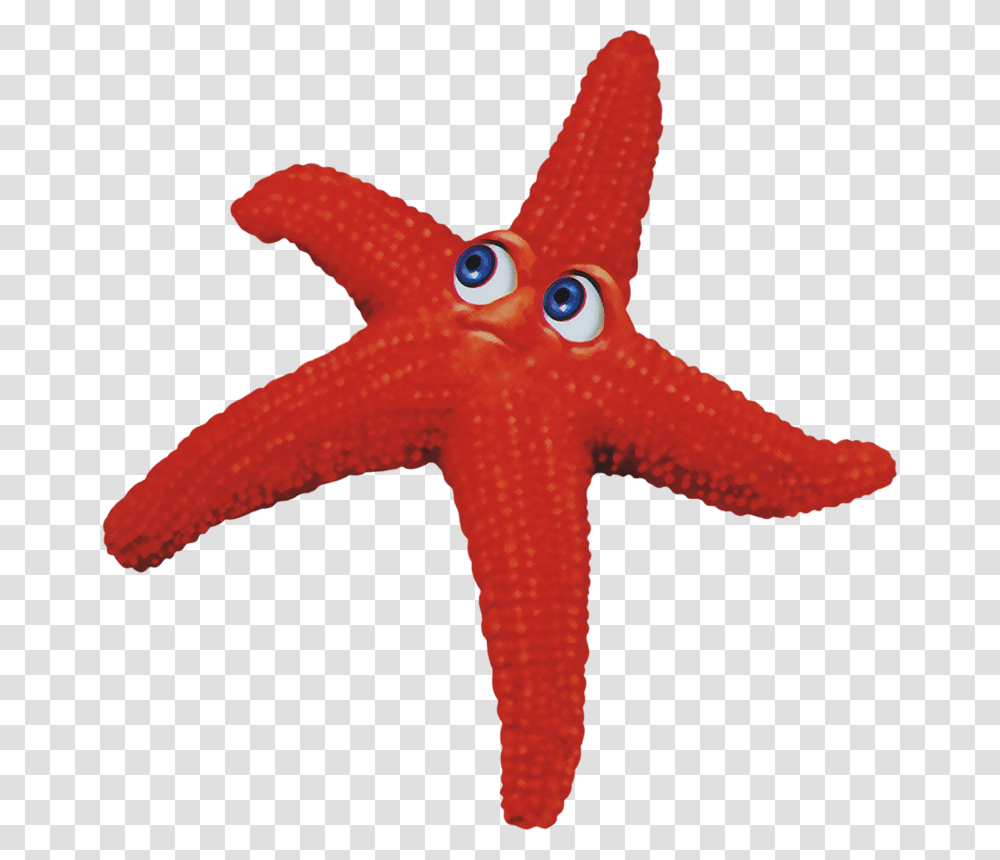 Starfish, Sea Life, Animal, Invertebrate, Toy Transparent Png