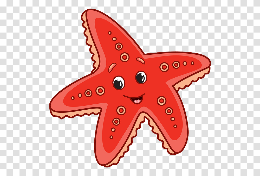Starfish, Sea Life, Animal, Invertebrate Transparent Png
