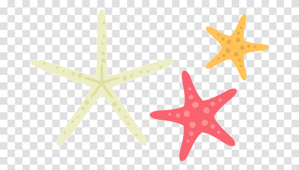 Starfish Sea Stars Clipart Starfish, Invertebrate, Sea Life, Animal, Cross Transparent Png