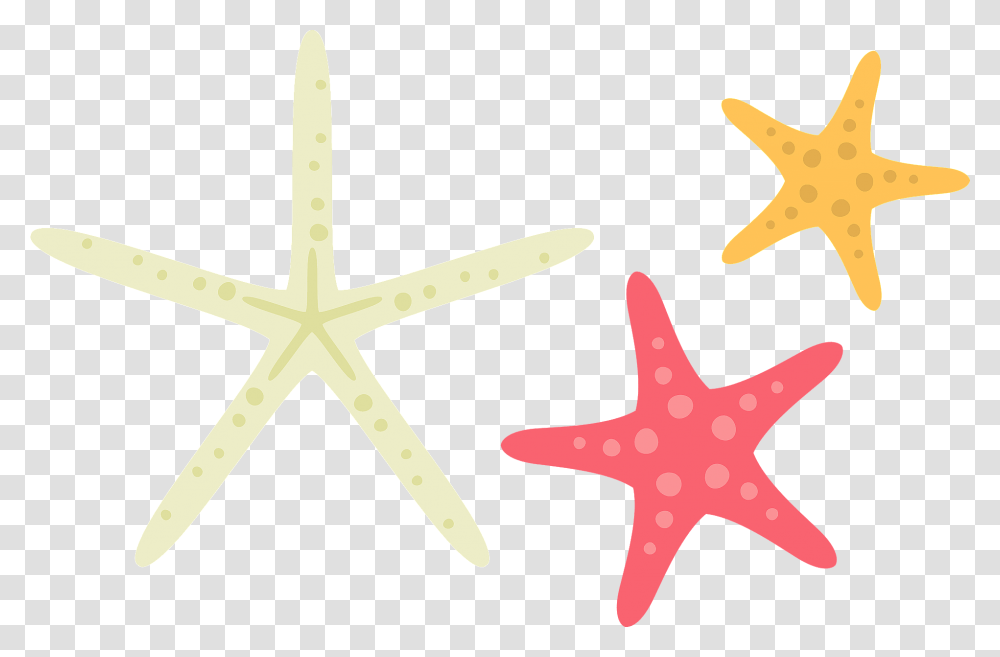 Starfish Sea Stars Clipart Starfish, Invertebrate, Sea Life, Animal, Cross Transparent Png
