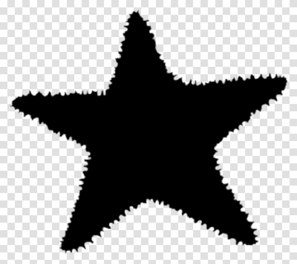 Starfish Silhouette Macy's North Star Strategy, Gray, World Of Warcraft Transparent Png