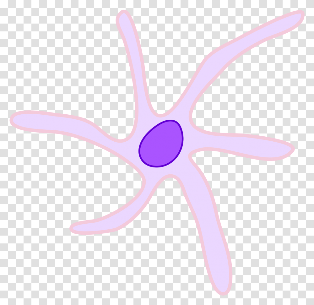 Starfish, Scissors, Logo, Kangaroo Transparent Png