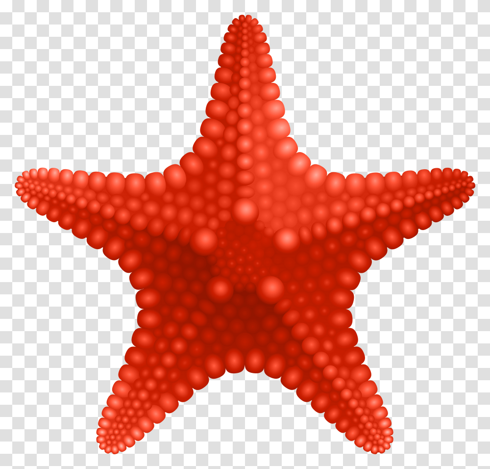 Starfish Transparent Png