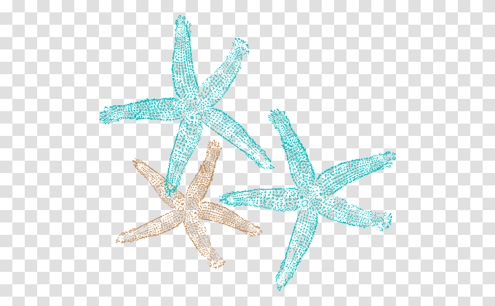 Starfish Vector Free Starfish Clipart, Invertebrate, Sea Life, Animal, Lizard Transparent Png