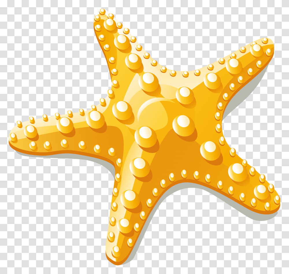 Starfish Vector, Invertebrate, Sea Life, Animal, Hammer Transparent Png
