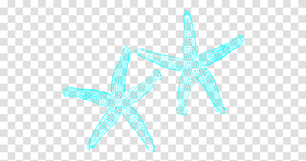 Starfish White Starfish Clip Art, Invertebrate, Sea Life, Animal, Lizard Transparent Png