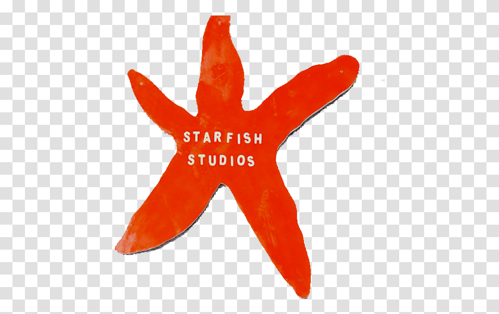 Starfish Youth Music Starfish, Leaf, Plant, Star Symbol Transparent Png