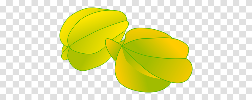 Starfruit Food, Leaf, Plant, Veins Transparent Png