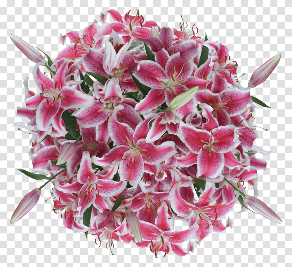 Stargazer Lilies Flowers Lowest Online Price Bouquet, Plant, Geranium, Blossom, Flower Arrangement Transparent Png