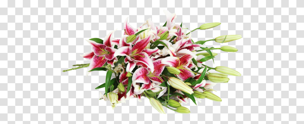 Stargazer Lily Bouquet, Plant, Flower, Blossom, Flower Bouquet Transparent Png