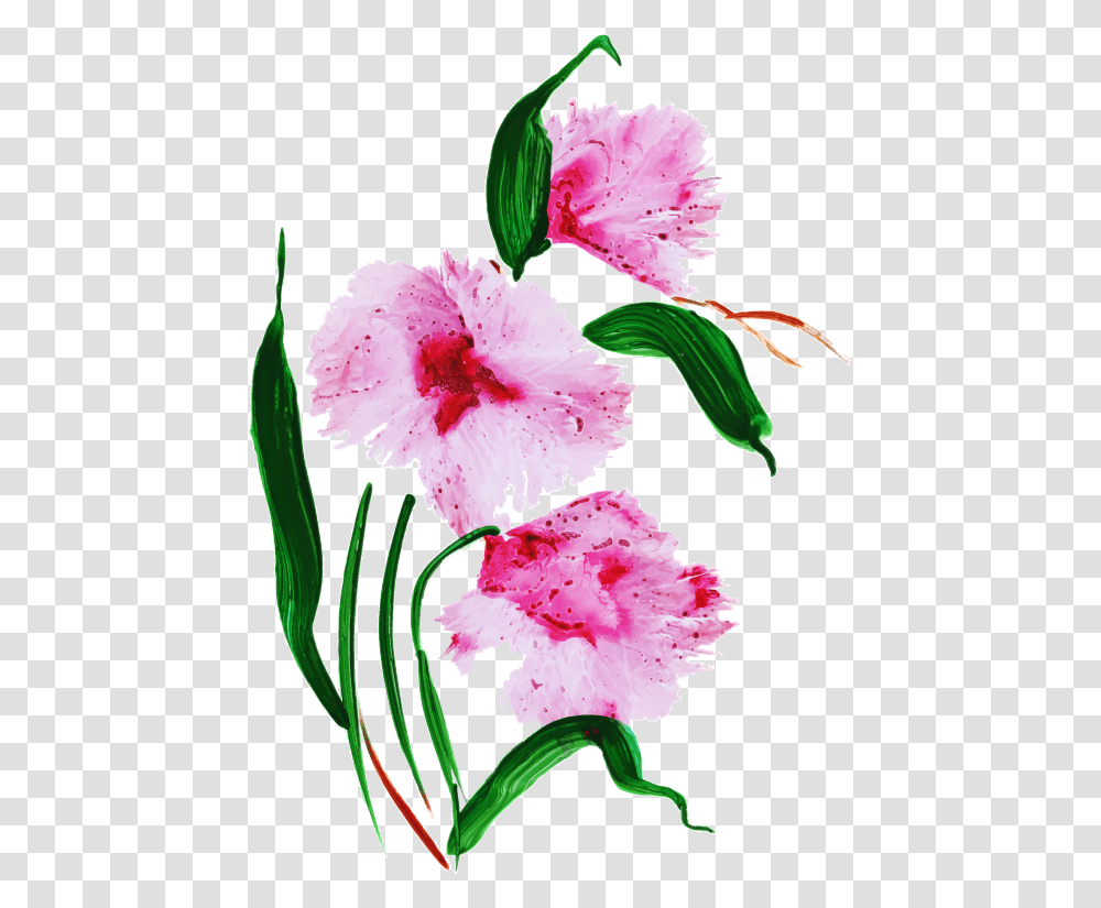 Stargazer Lily, Plant, Carnation, Flower, Blossom Transparent Png