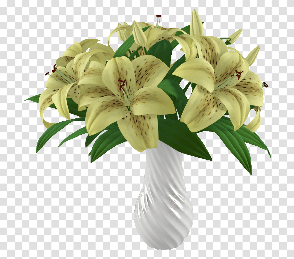 Stargazer Lily, Plant, Flower, Blossom, Flower Arrangement Transparent Png