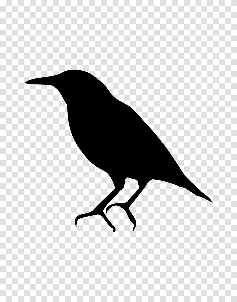 Starling Images Free Download, Gray, World Of Warcraft Transparent Png