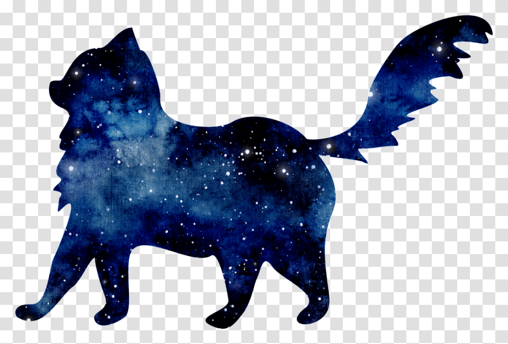 Starry Blue Kitten Free Download Vector, Light, Urban Transparent Png