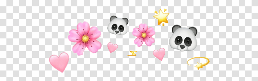 Stars Tumblr Overlay Cute Panda Aesthetic Love Hear Cute Anime Girl Aesthetic, Plant, Flower, Blossom, Petal Transparent Png