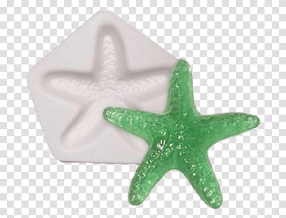 Starsh Casting Mold Starfish, Sea Life, Animal, Invertebrate Transparent Png