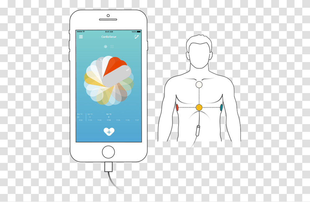 Starting The 10 Second Ecg Recording In The Cardiosecur Illustration, Mobile Phone, Electronics, Cell Phone, Person Transparent Png